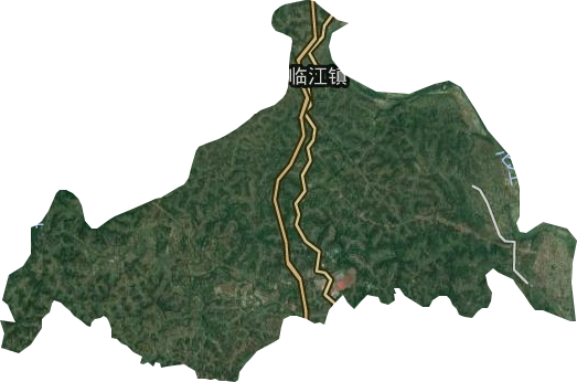 临江镇卫星图