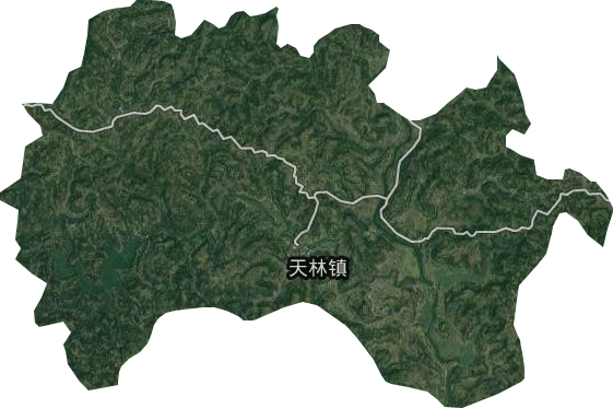 天林镇卫星图