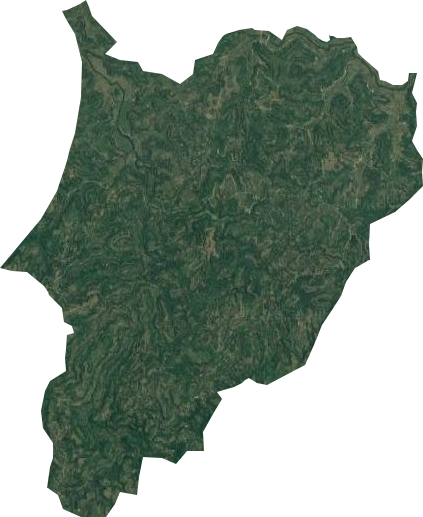 城西乡卫星图