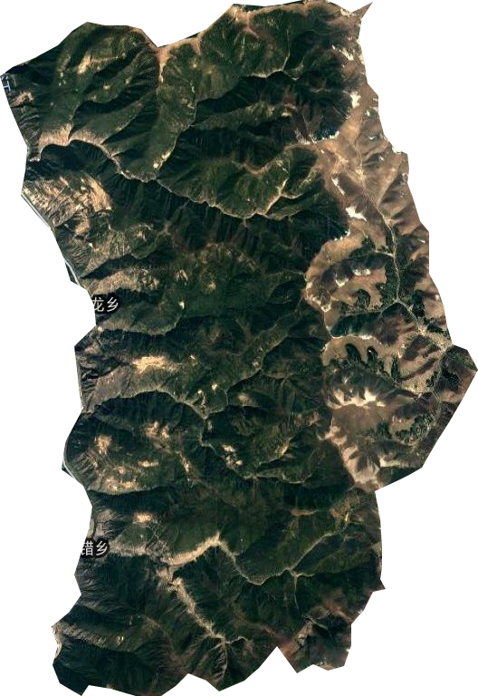 米龙乡卫星图