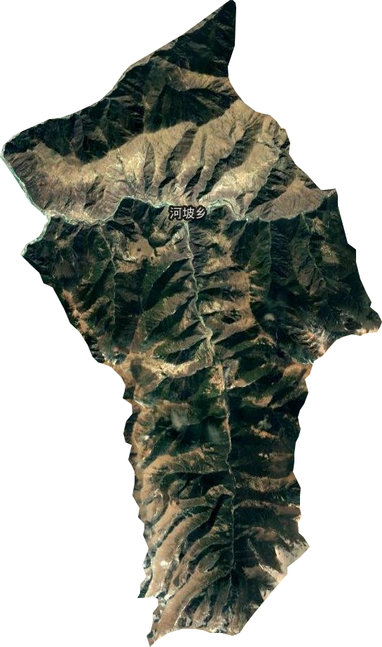 河坡乡卫星图