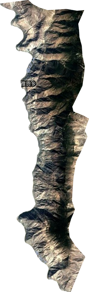 曲雅贡乡卫星图