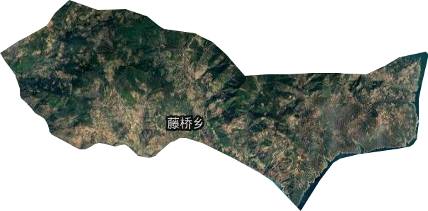 藤桥乡卫星图