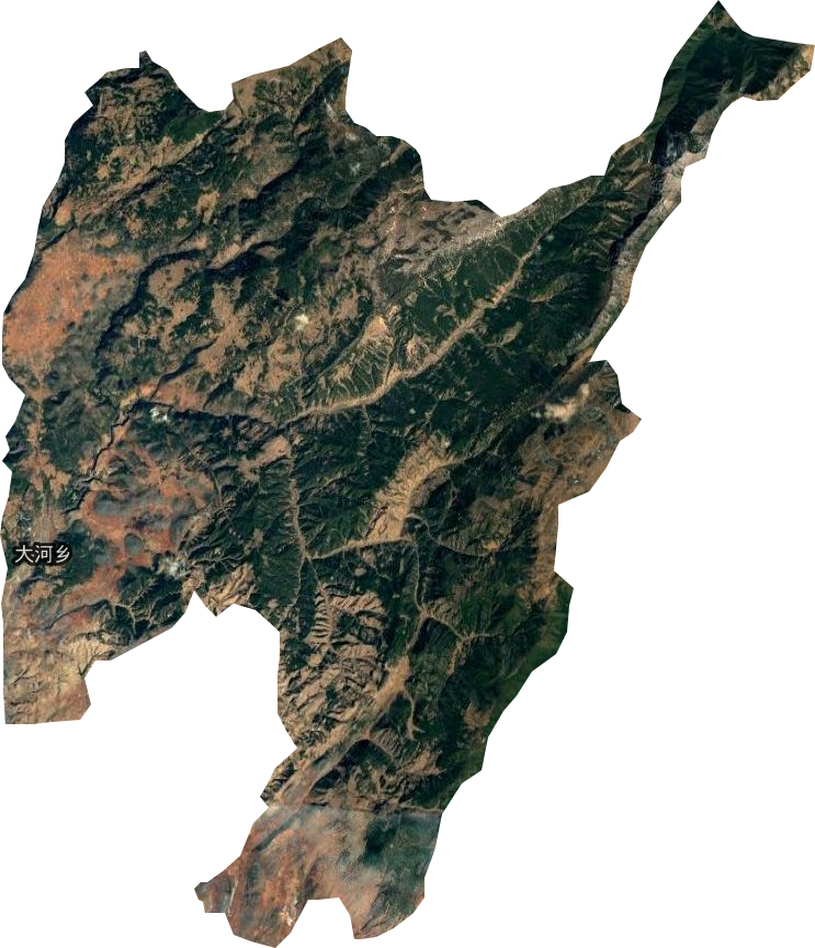 大河乡卫星图
