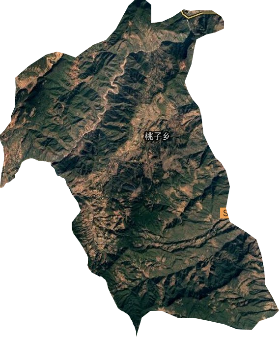 桃子乡卫星图