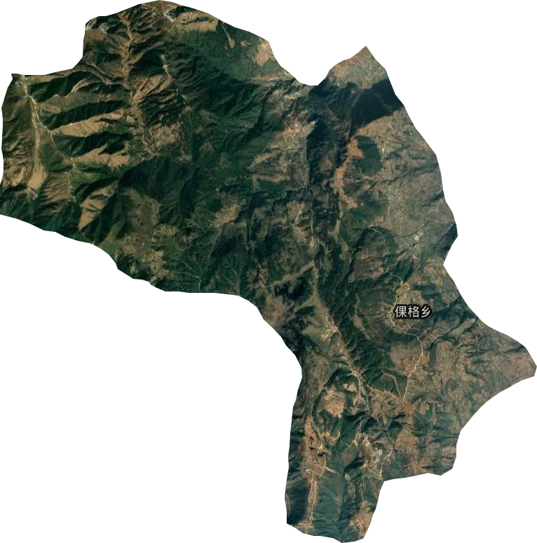倮格乡卫星图