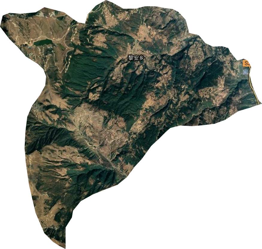 黎安乡卫星图