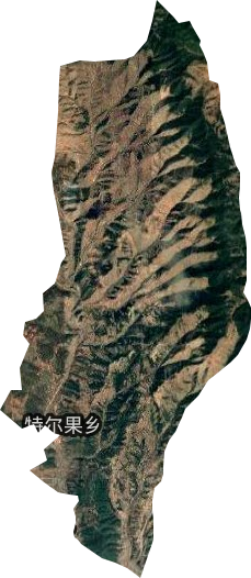 特尔果乡卫星图