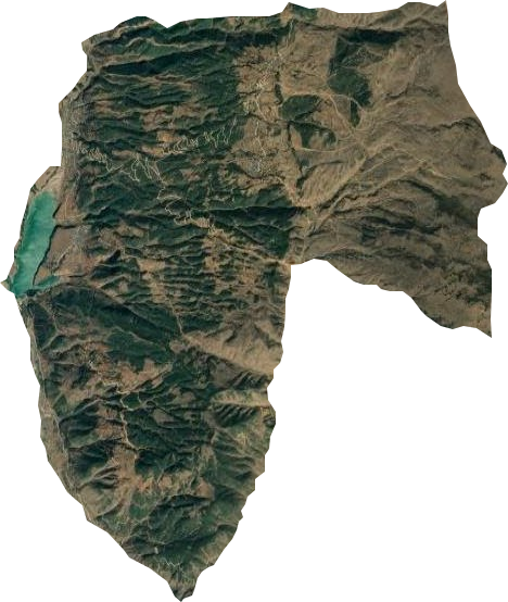 洛古乡卫星图
