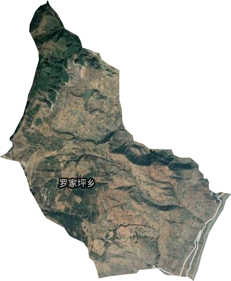 罗家坪乡卫星图