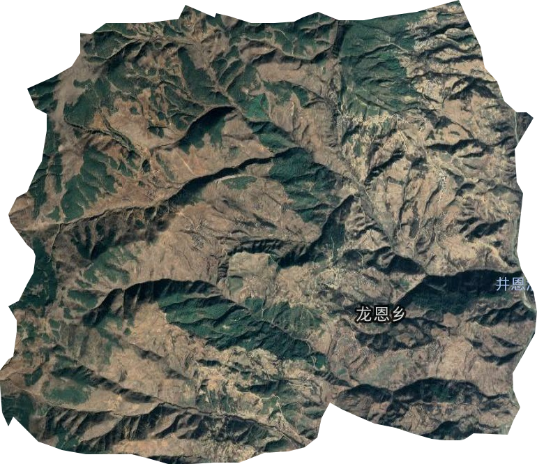 龙恩乡卫星图