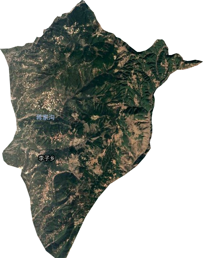 李子乡卫星图