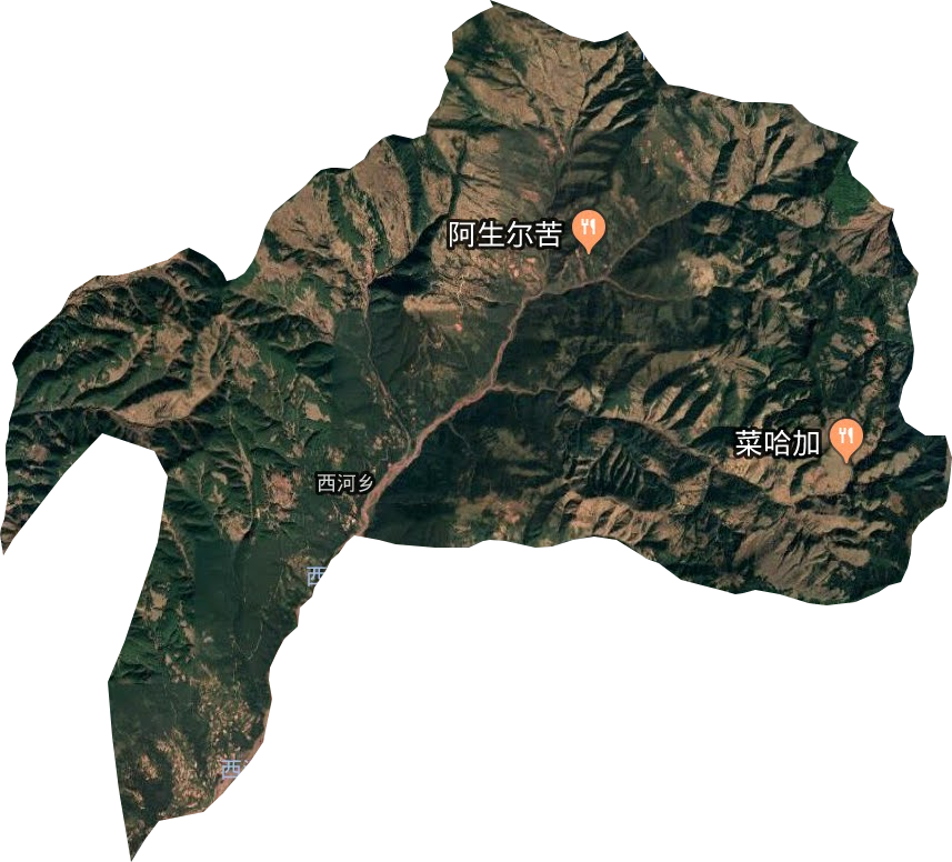西河乡卫星图