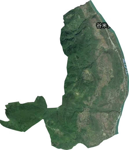 谷米乡卫星图