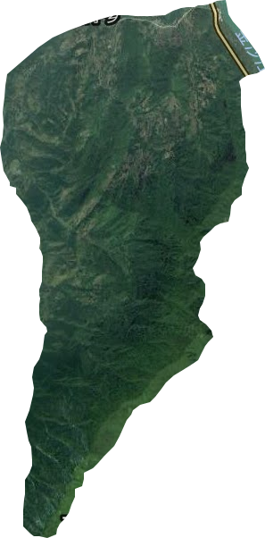 柑子乡卫星图