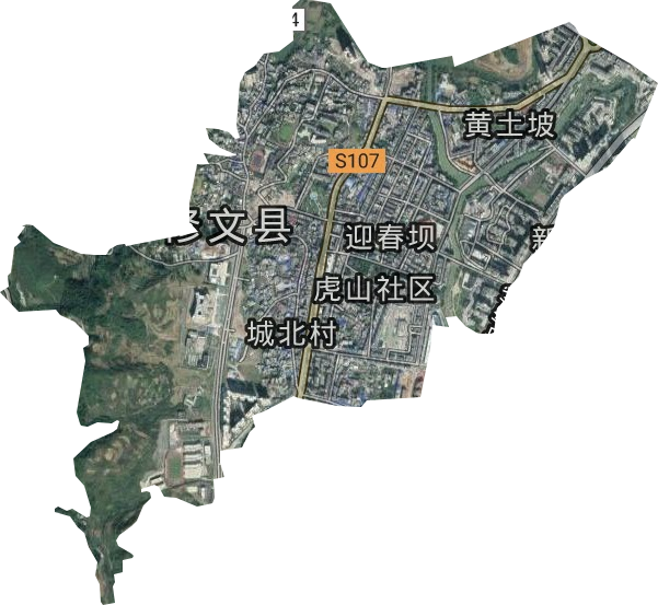 龙岗社区服务中心卫星图