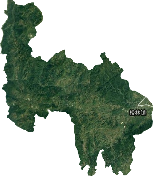 松林镇卫星图