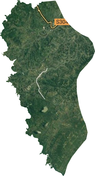 王寨乡卫星图