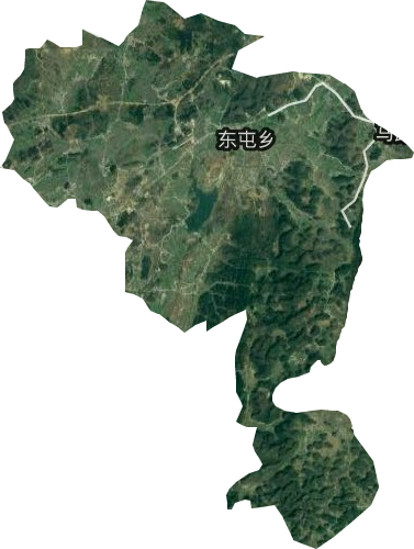 东屯乡卫星图