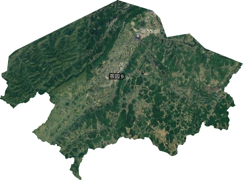 茶园乡卫星图