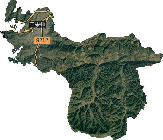 白果镇卫星图