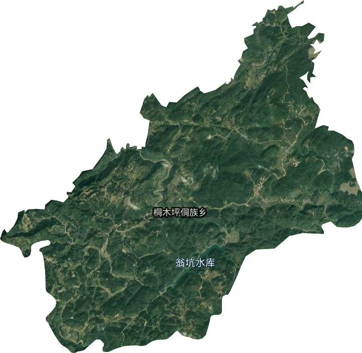 桐木坪乡卫星图