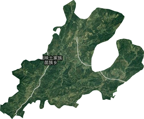 桃映镇卫星图
