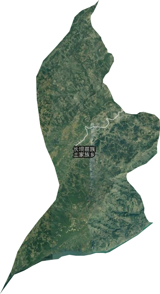 长坝镇卫星图