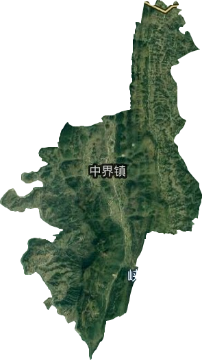 中界乡卫星图