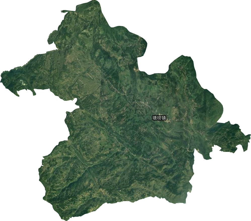 塘坝乡卫星图