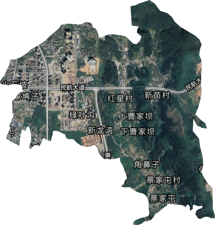 兴泰街道卫星图