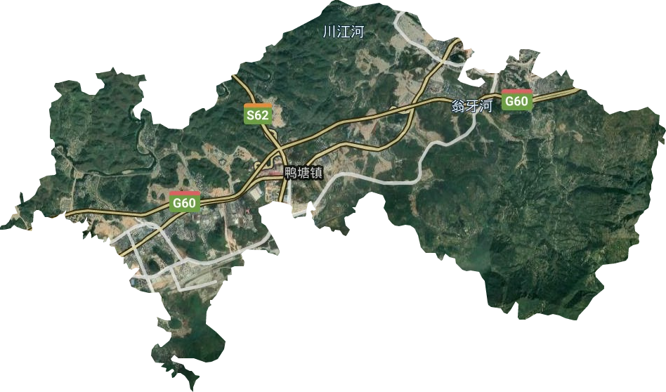 鸭塘街道卫星图