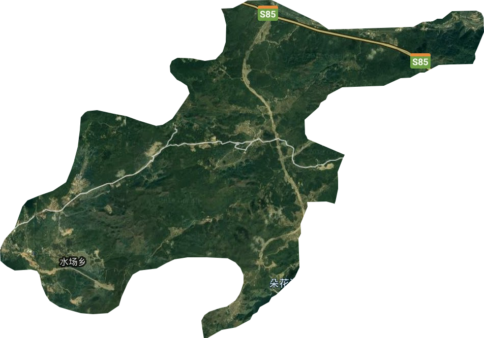 水场乡卫星图