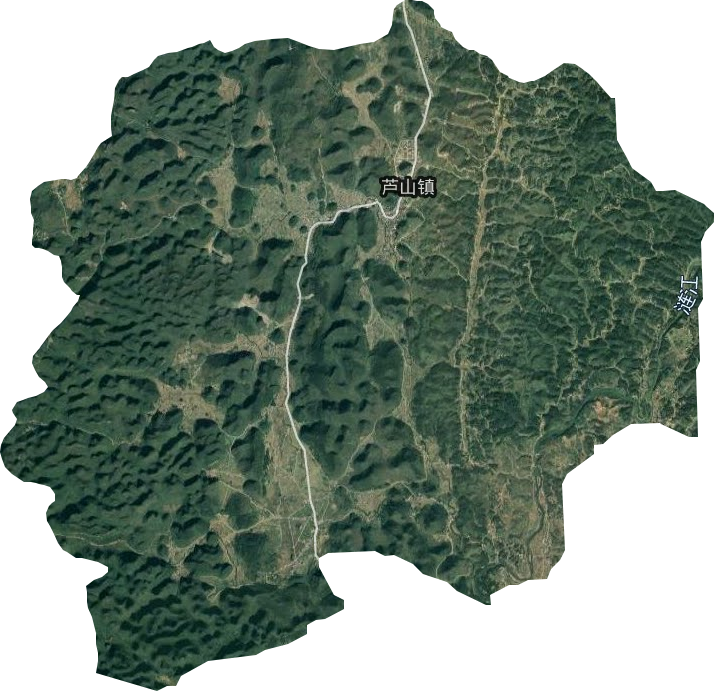 芦山镇卫星图