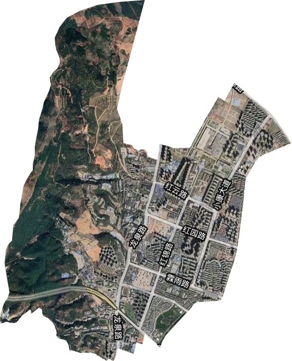 红云街道卫星图