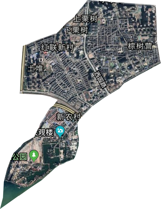 棕树营街道卫星图