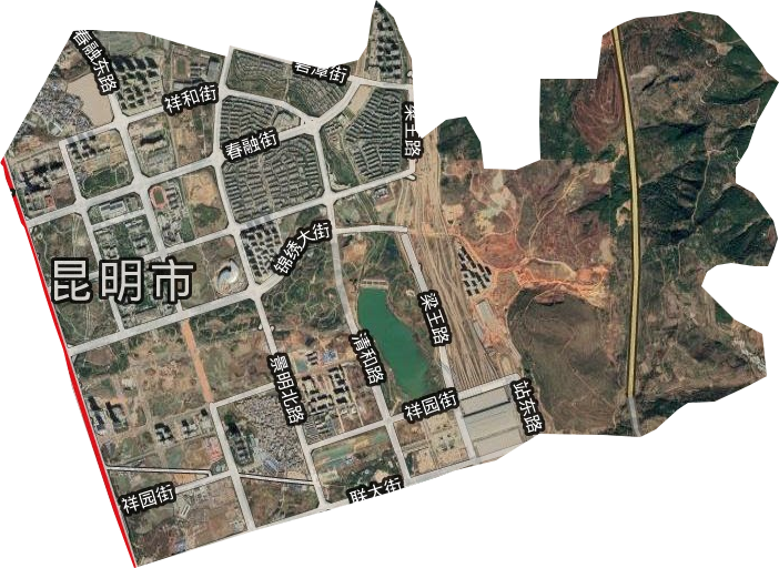 洛龙街道卫星图