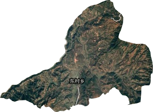 东村镇卫星图