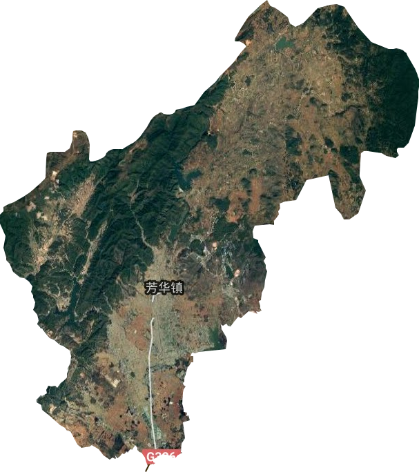 芳华镇卫星图