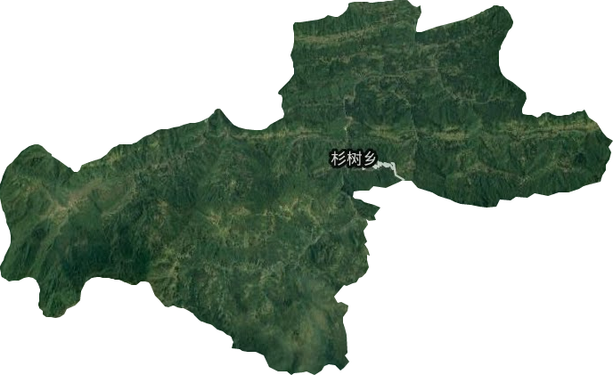 杉树乡卫星图
