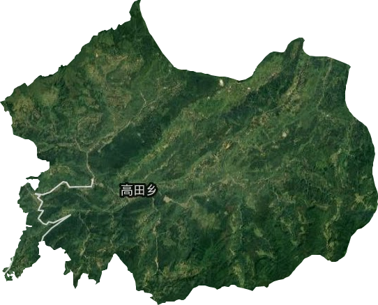 高田乡卫星图