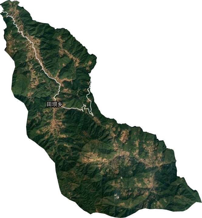 田坝乡卫星图