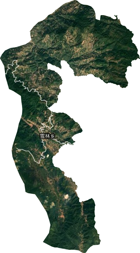 雪林佤族乡卫星图