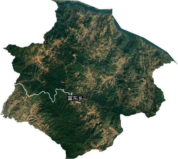 富东乡卫星图
