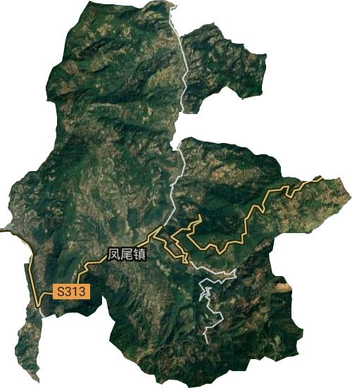 凤尾镇卫星图