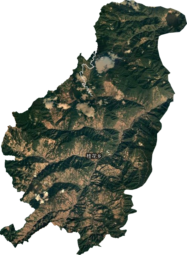 桂花镇卫星图