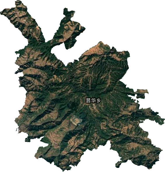 昙华乡卫星图