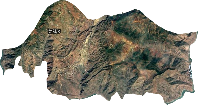 姜驿乡卫星图