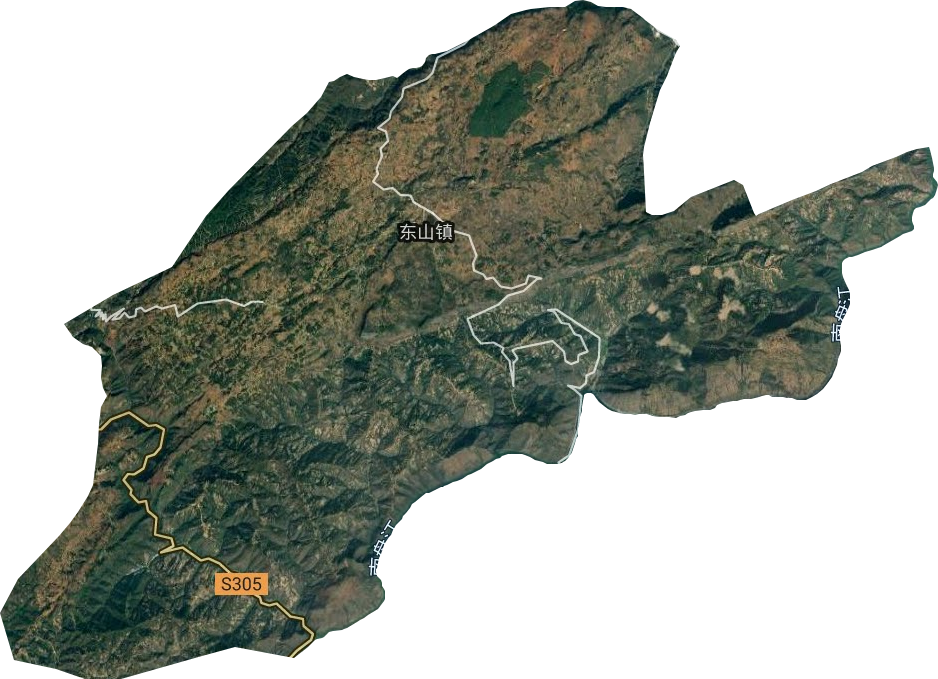 东山镇卫星图