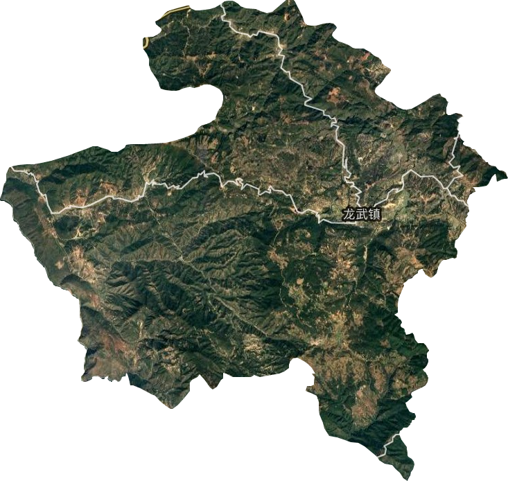 龙武镇卫星图